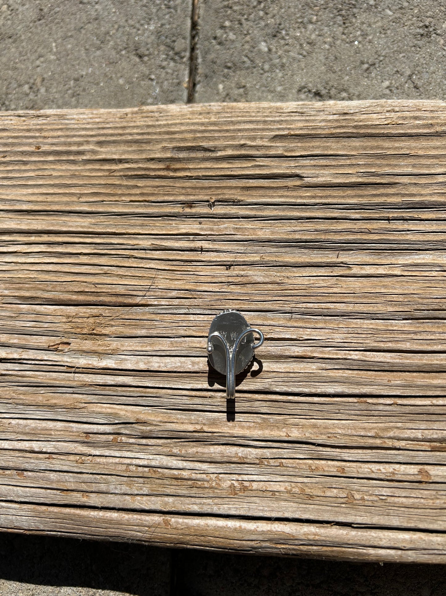 Decorative Cowry Clip