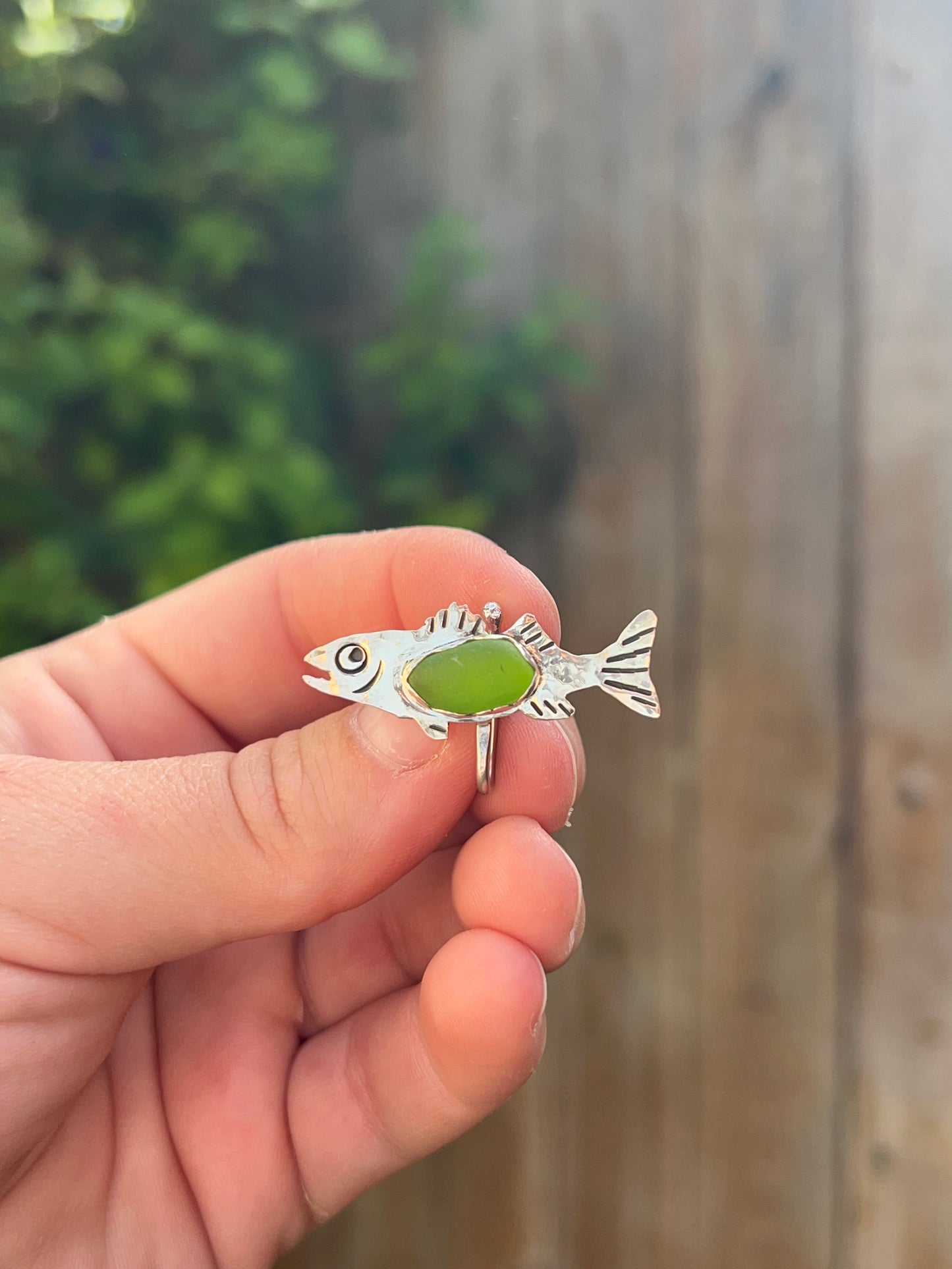 Sea Bass Brim Fin