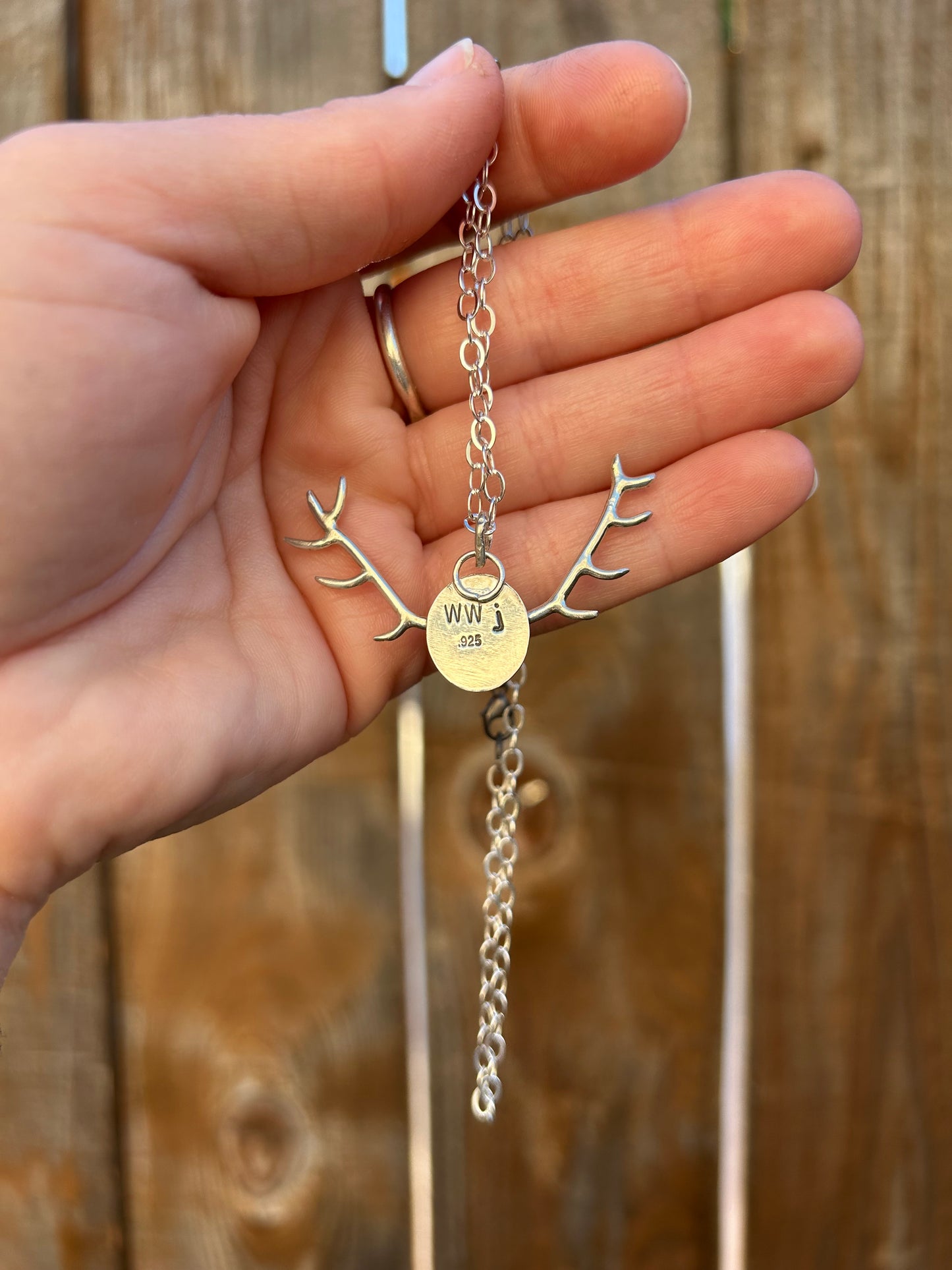 Red Banded Agate Antler Necklace