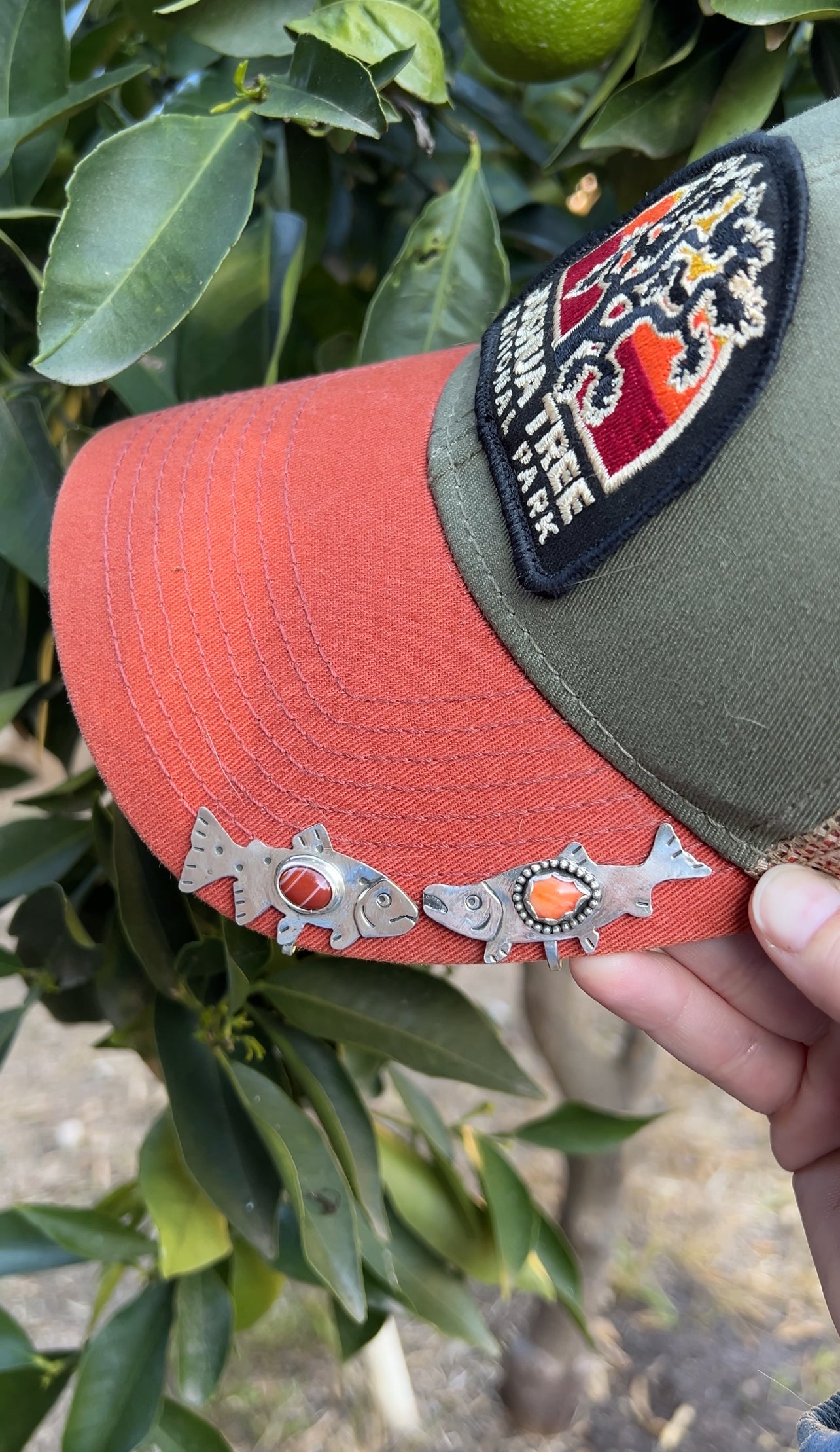 Red Banded Agate Trout Brim Fin