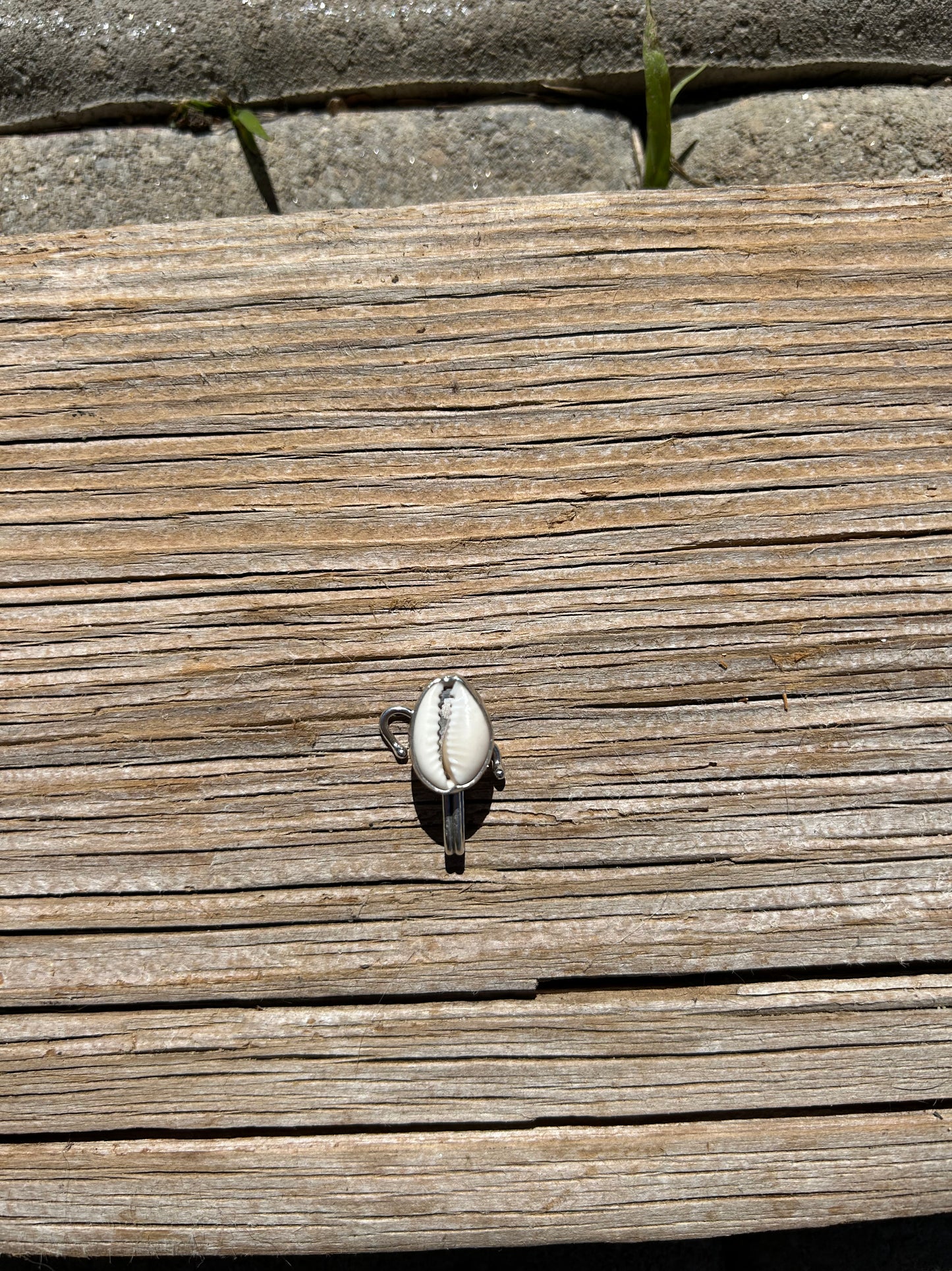 Cowry Clip