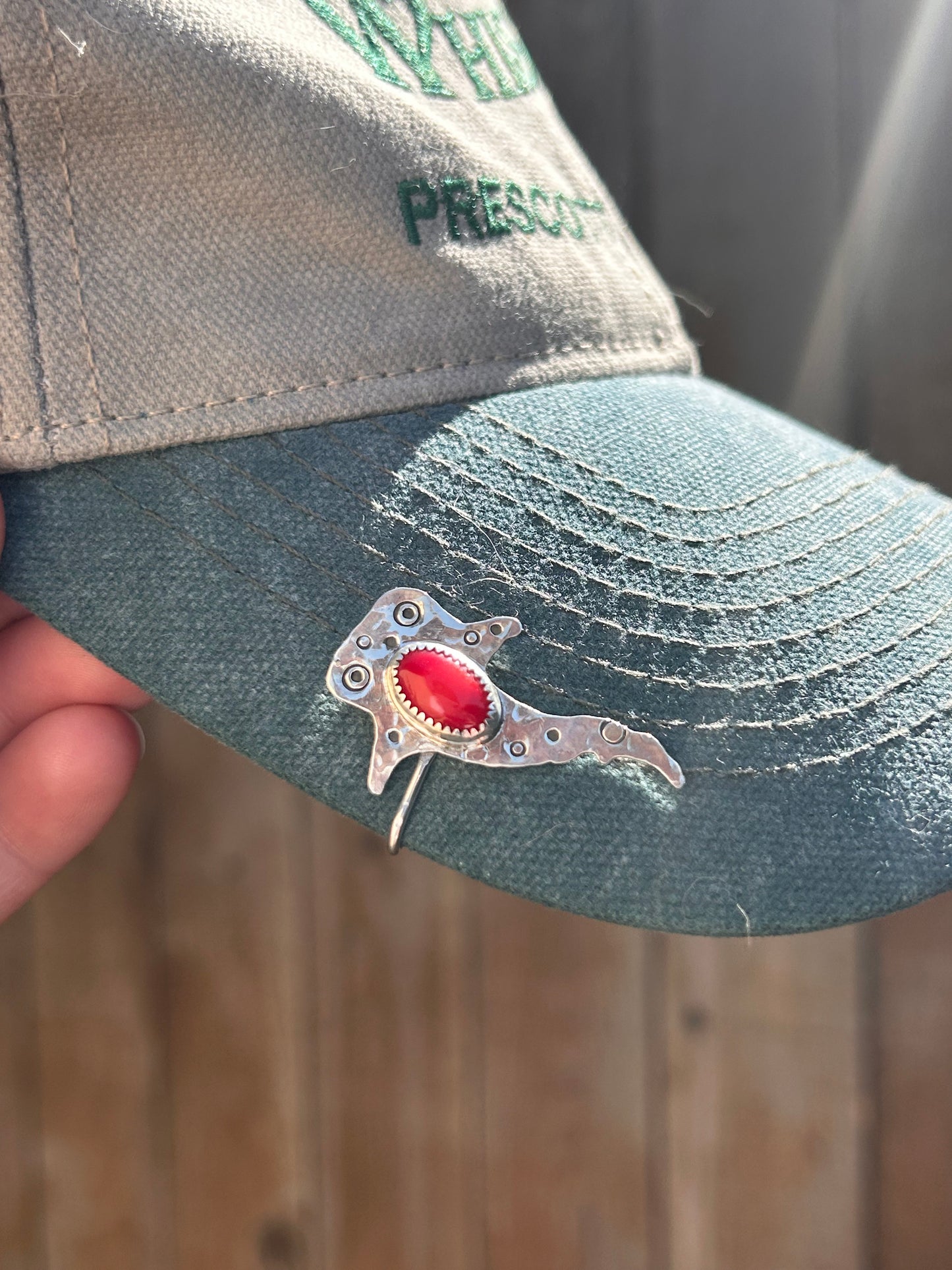 Whale Shark Brim Fin
