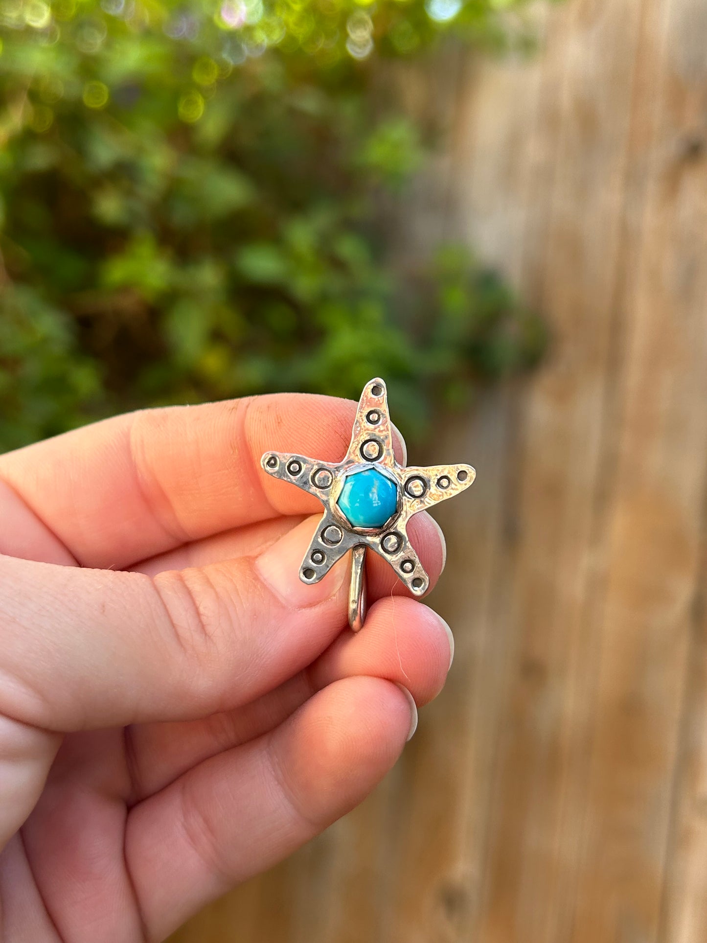 Sea Star Brim Fin