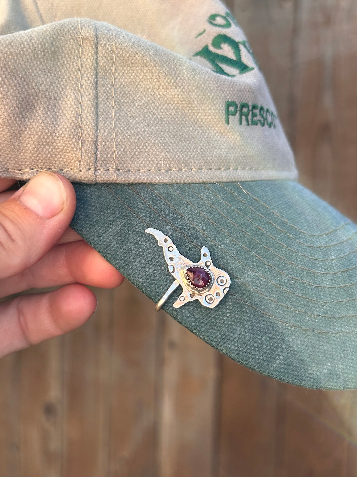 Whale Shark Brim Fin