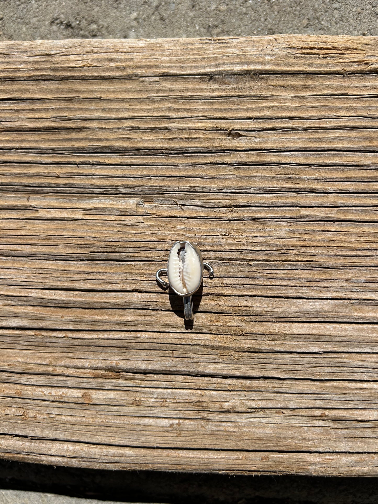 Cowry Clip