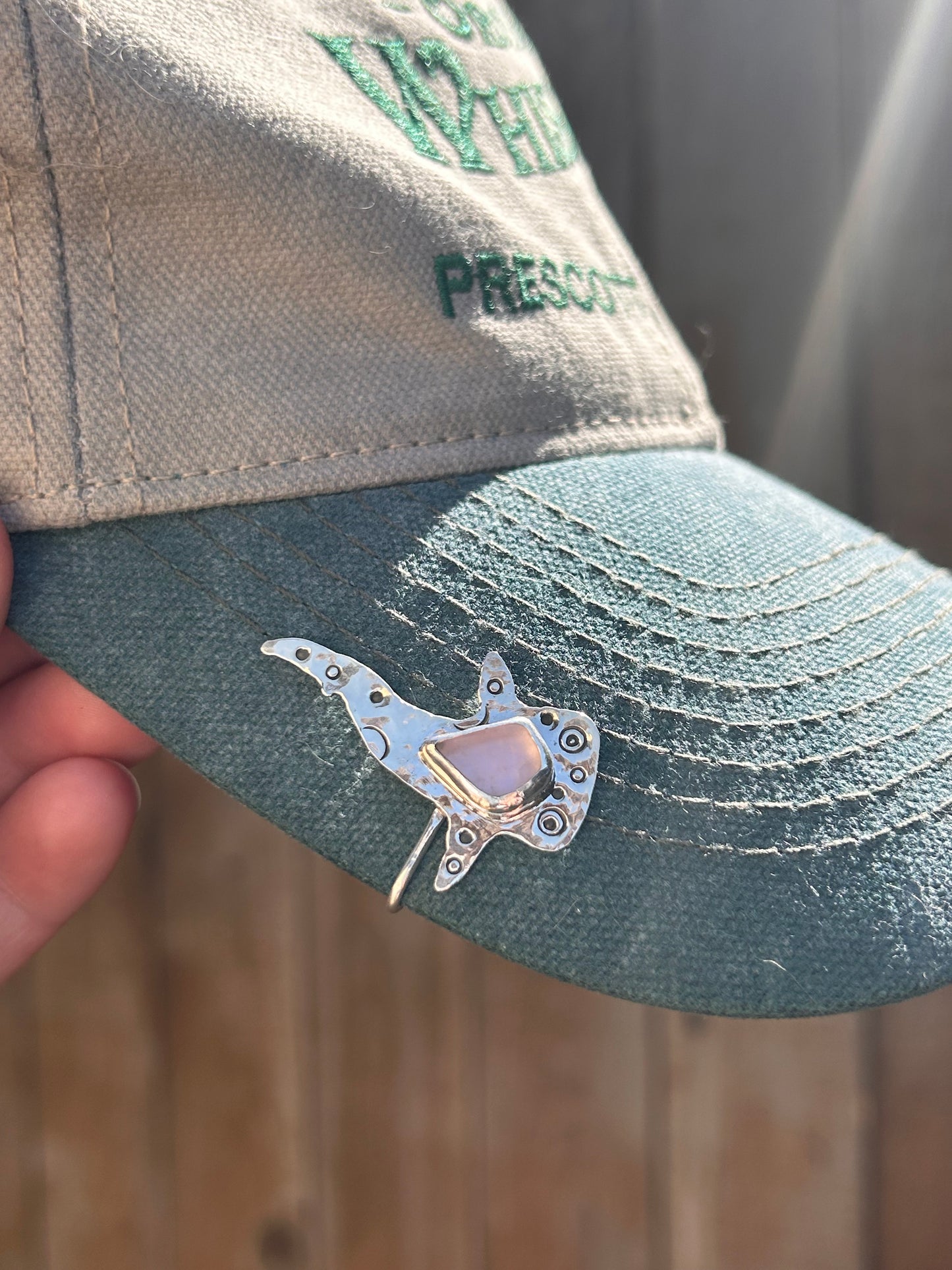 Whale Shark Brim Fin