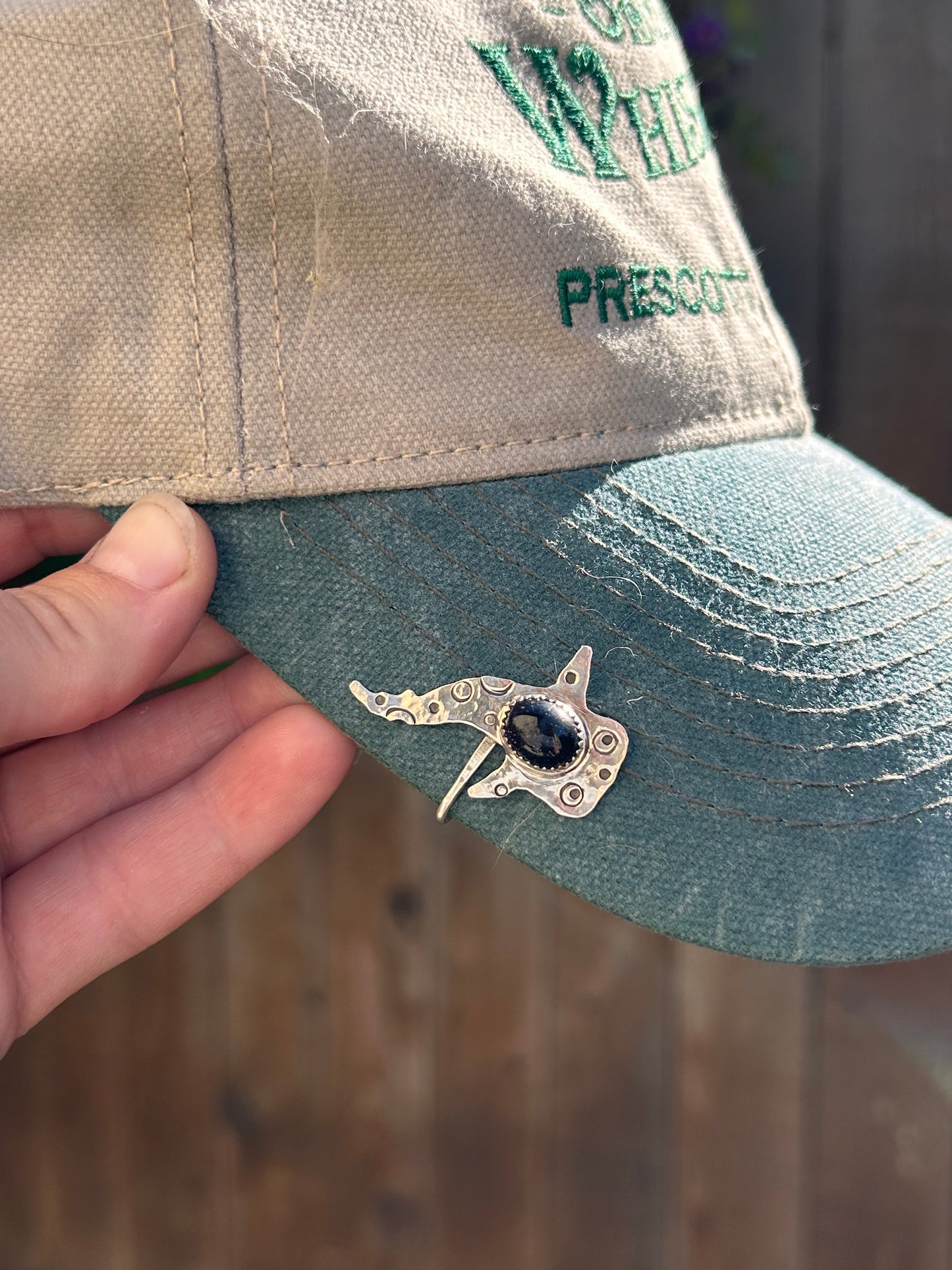 Whale Shark Brim Fin