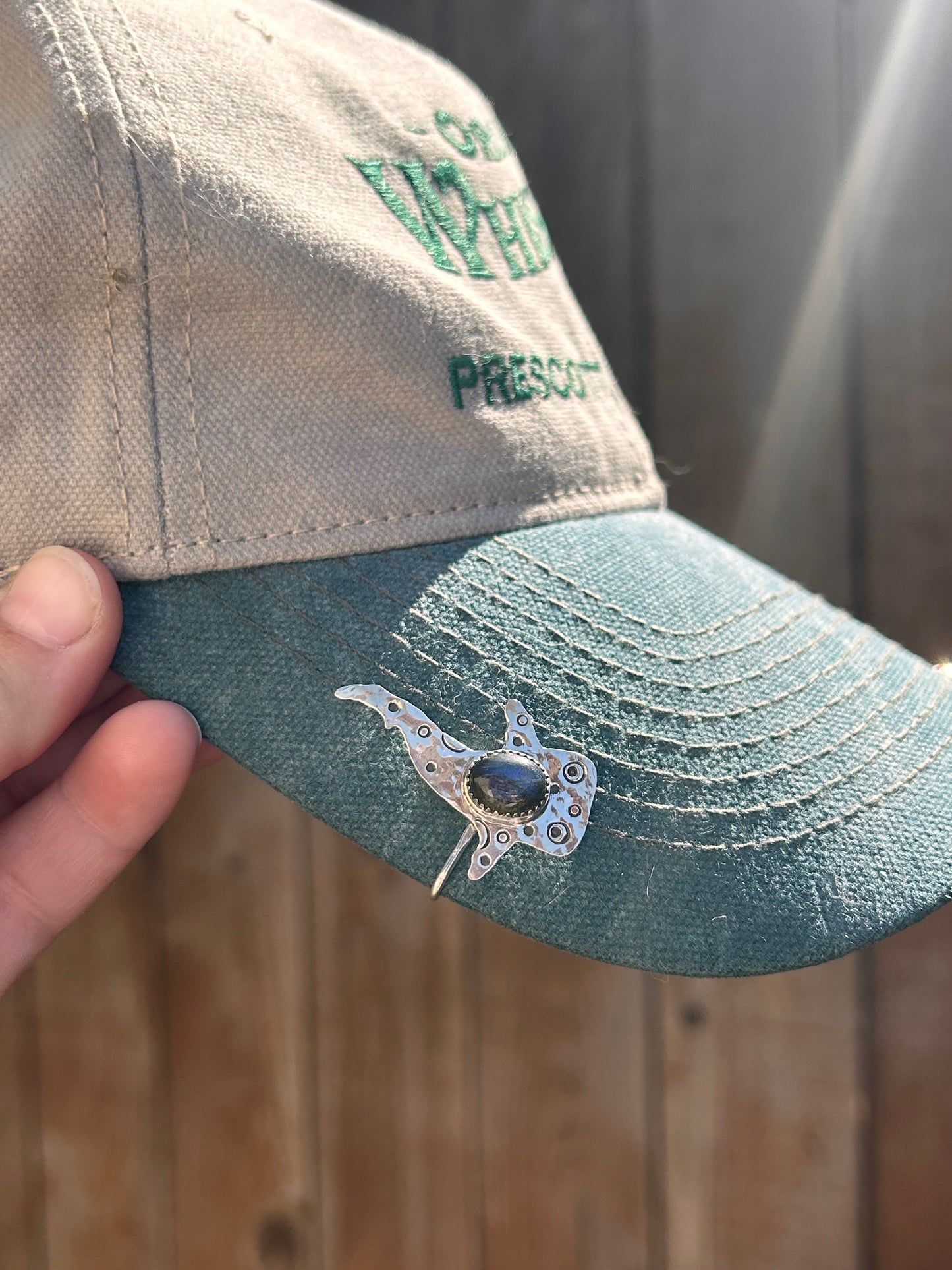 Whale Shark Brim Fin