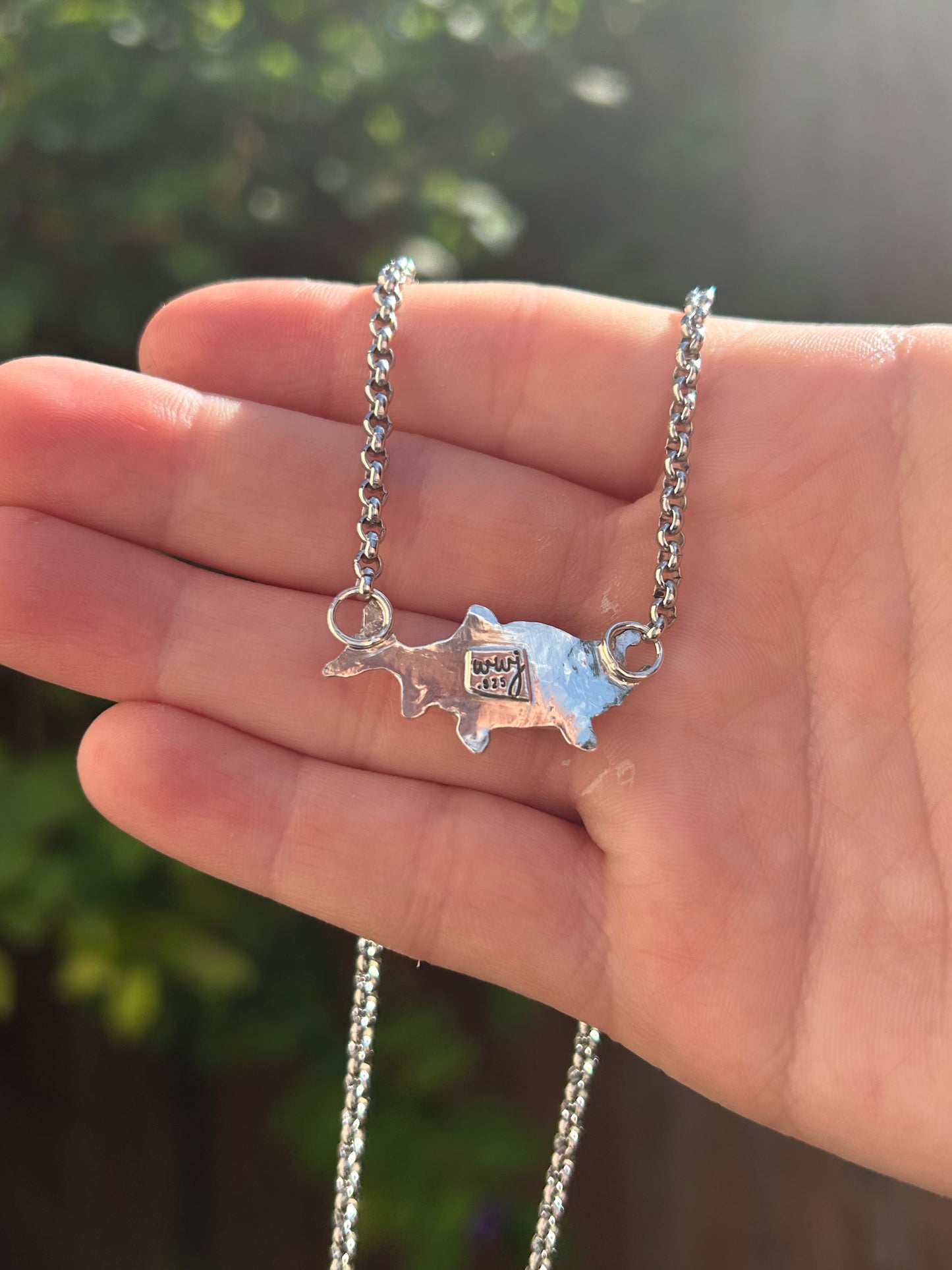 Salmon Necklace