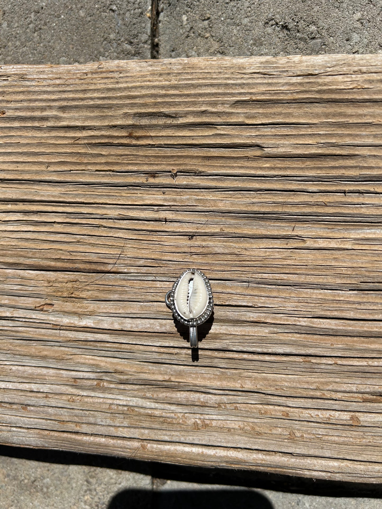 Decorative Cowry Clip