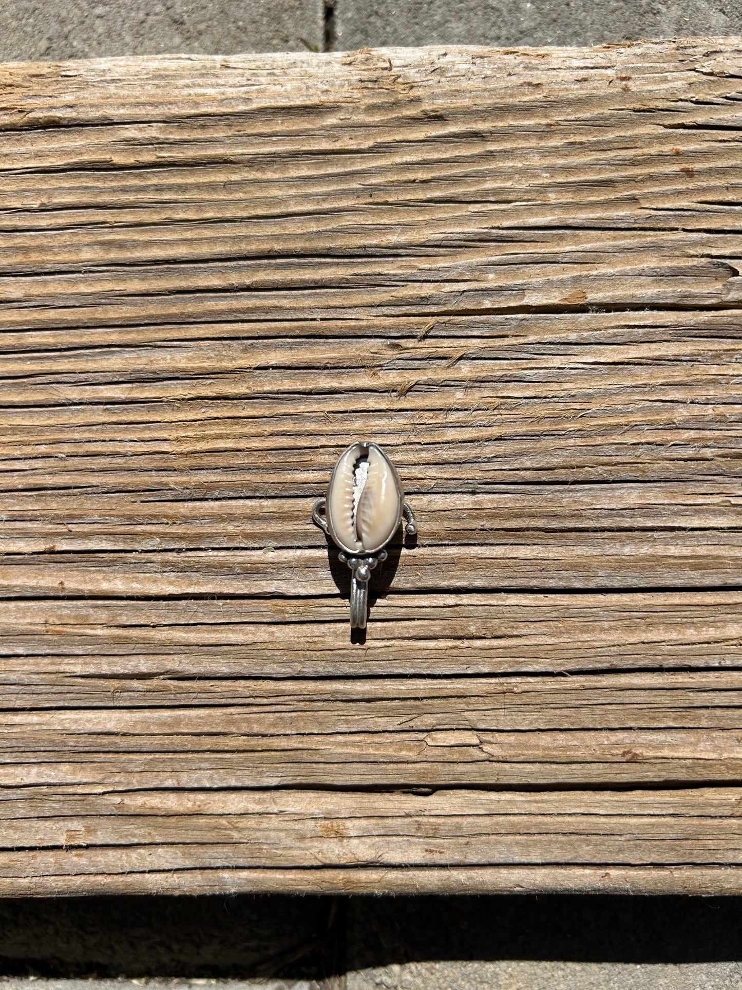 Decorative Cowry Clip