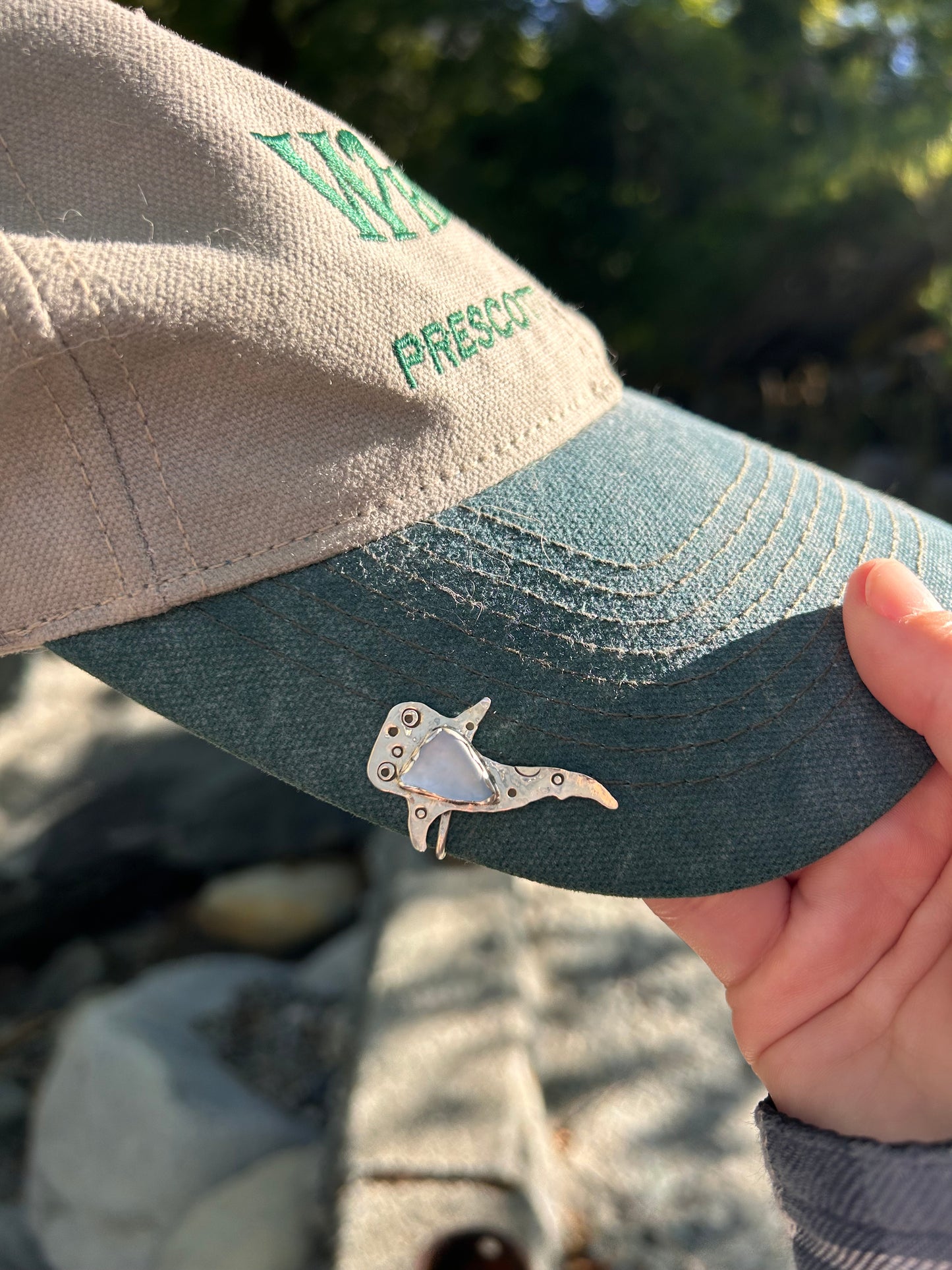Whale Shark Brim Fin