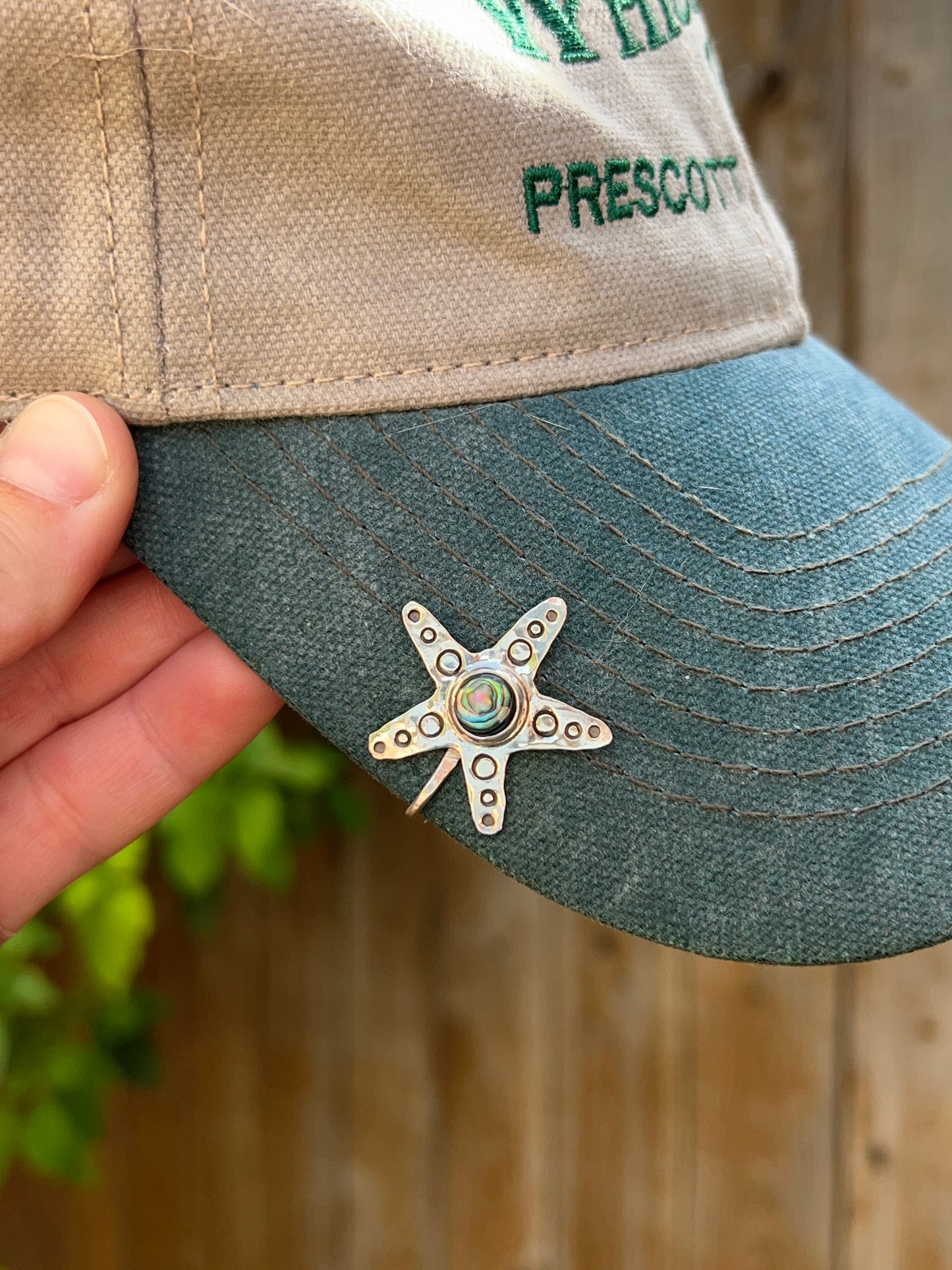 Sea Star Brim Fin