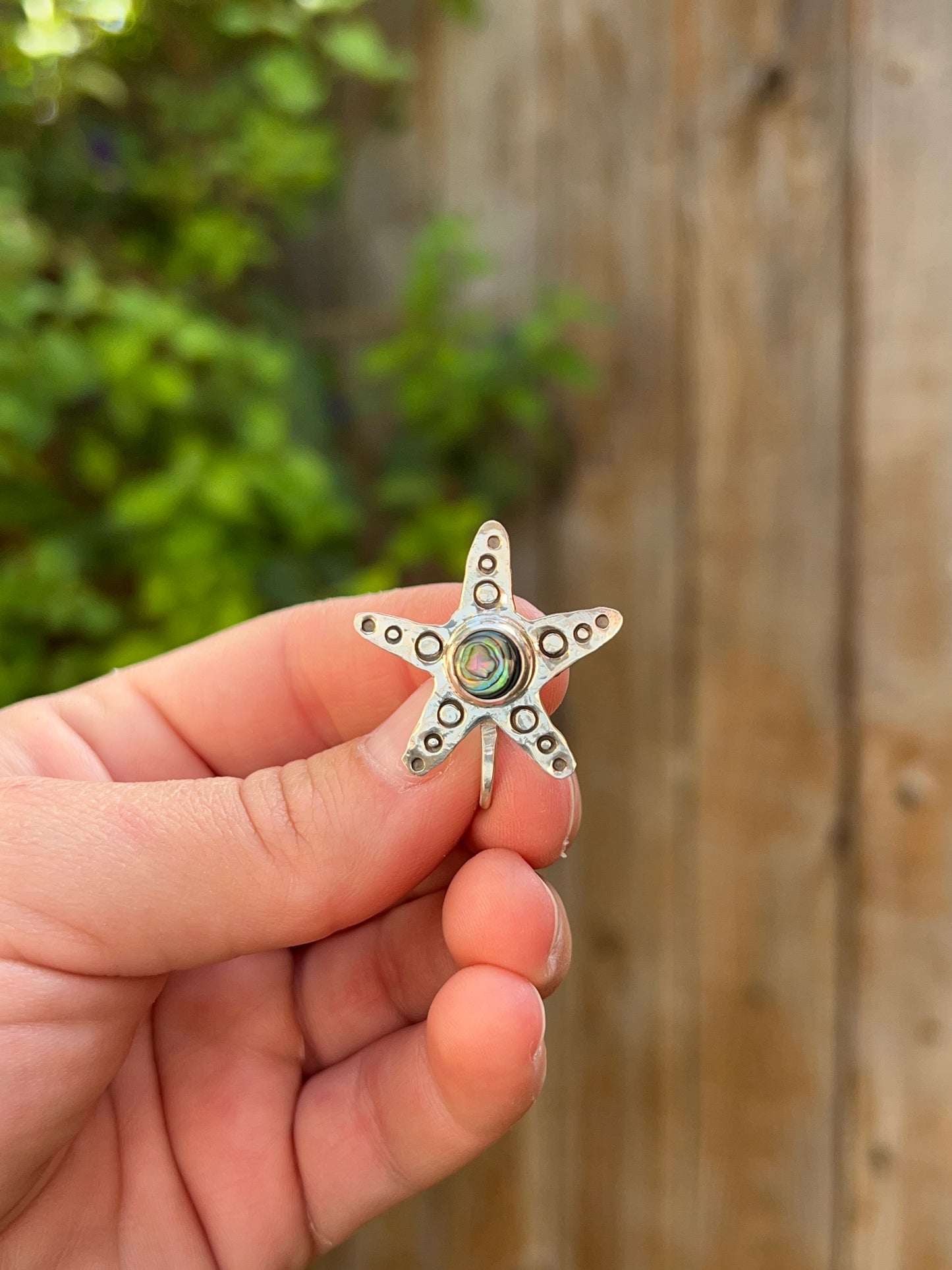 Sea Star Brim Fin