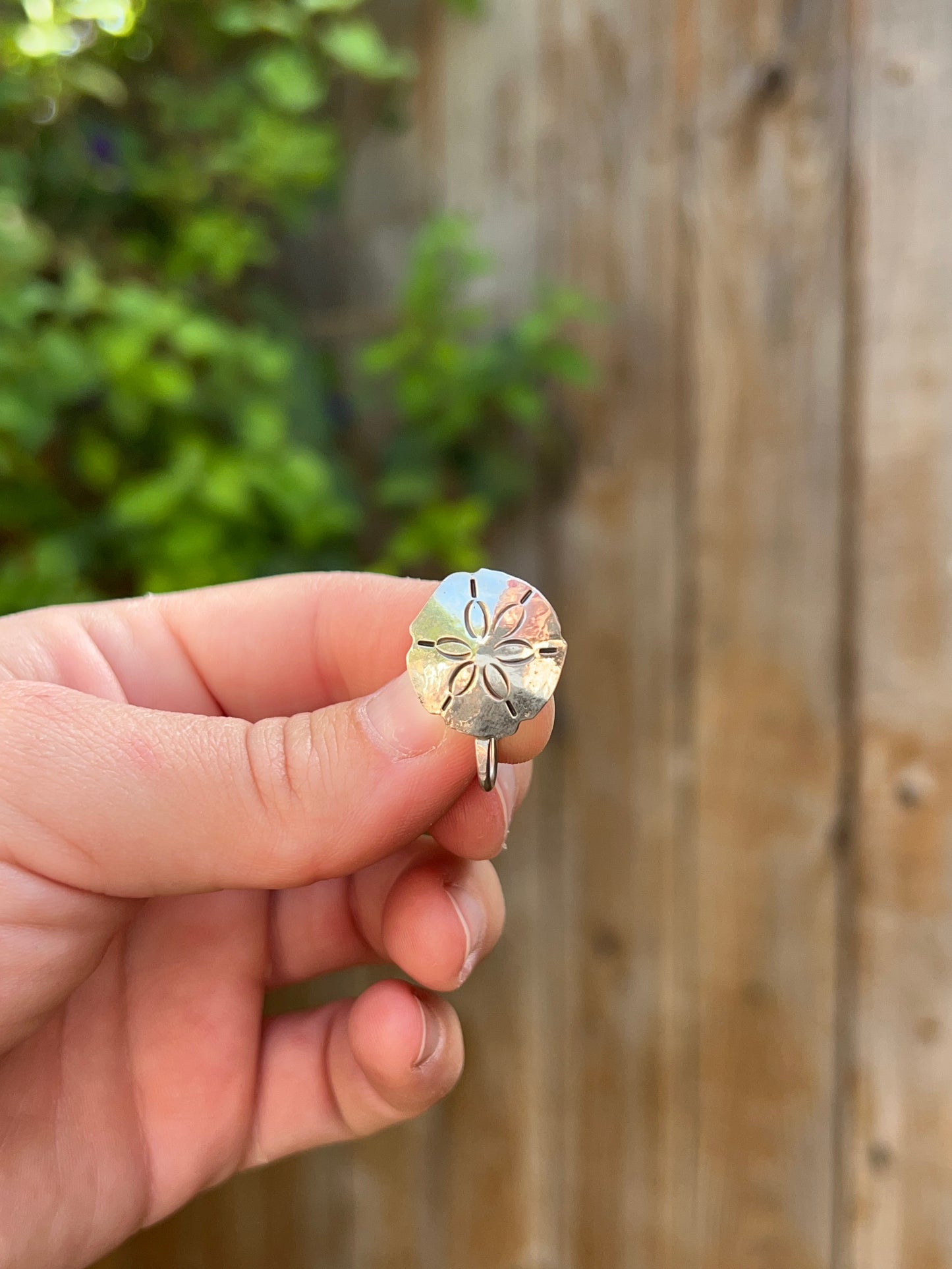 Sand Dollar Brim Fin