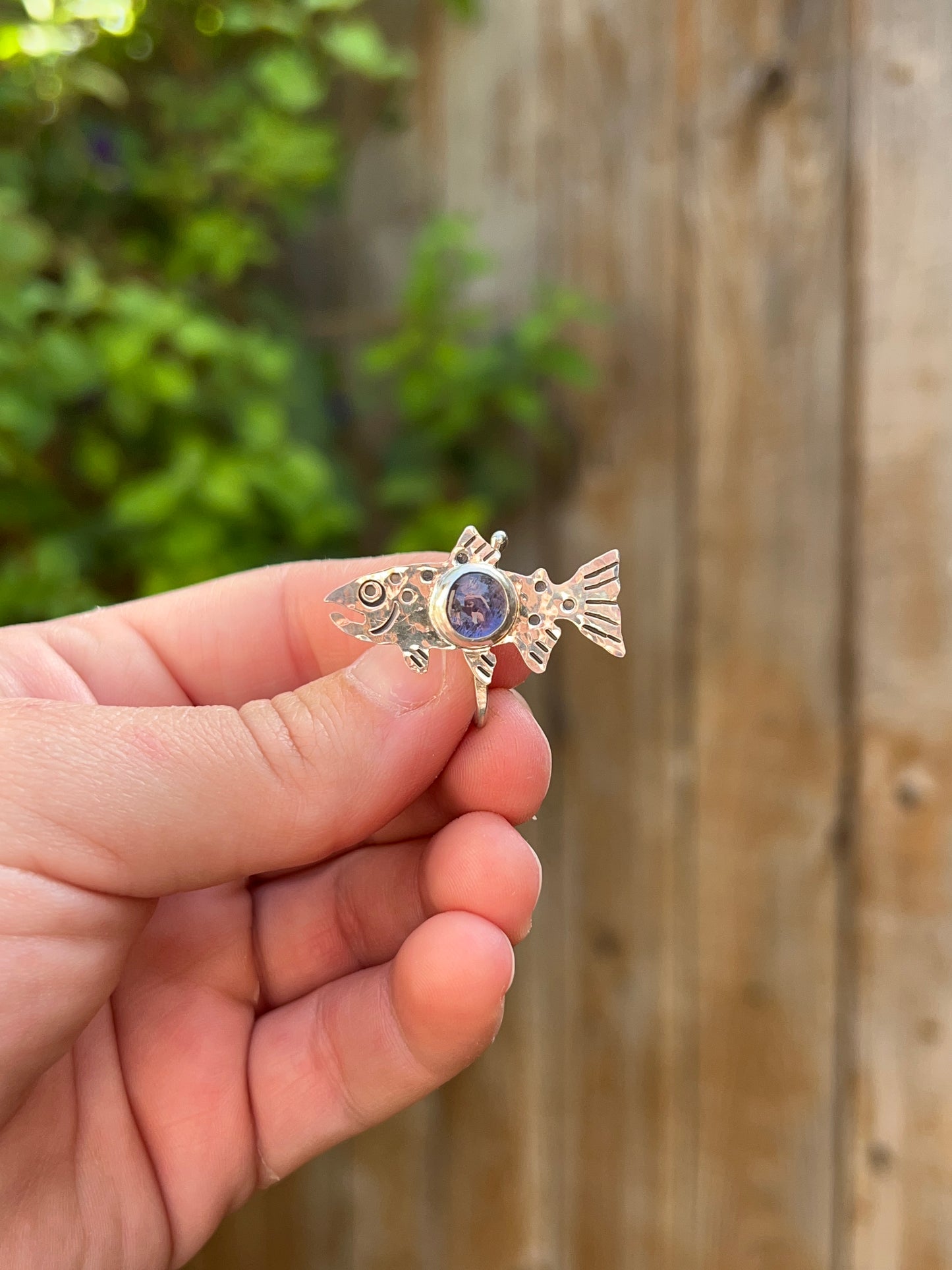 Trout Brim Fin