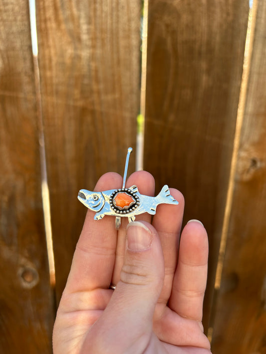 Spiny Oyster Salmon Brim Fin