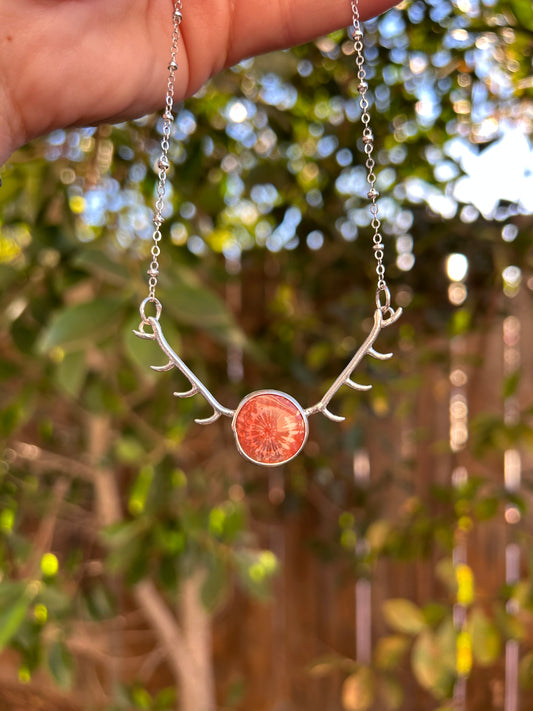Fossilized Coral Antler Necklace